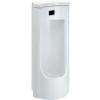 C31507 ⶻЪ  WATER FORD HYGIENE - COTTO