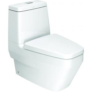 CL22305-6DACTCB "IDS CLEAR" 3/4.5L CLOSE COUPLED TOILET